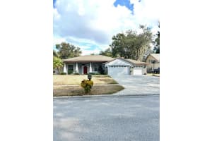 12221 ANNE KENIA DRIVE, THONOTOSASSA, FL 33592 - MLS#MFRTB8451084