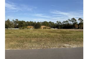 14950 MIM PLACE, DADE CITY, FL 33525 - MLS#MFRTB8451106