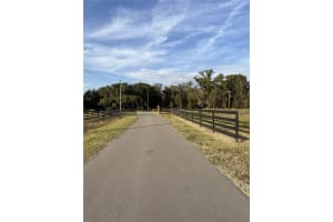 14950 MIM PLACE, DADE CITY, FL 33525 - MLS#MFRTB8451106