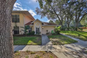 313 KNOTTWOOD COURT, SUN CITY CENTER, FL 33573 - MLS#MFRTB8451112