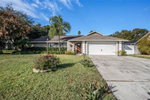 202 RUNNING HORSE ROAD, SEFFNER, FL 33584 - MLS#MFRTB8451126
