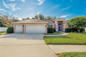 4813 WATER LARK WAY, VALRICO, FL 33596 - MLS#MFRTB8451130