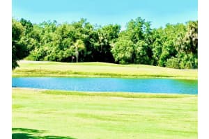 1041 CAPRI ISLES BOULEVARD, VENICE, FL 34292 - MLS#MFRTB8451133