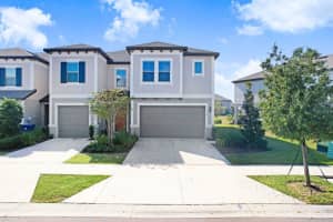 31886 Blue Passing Loop, WESLEY CHAPEL