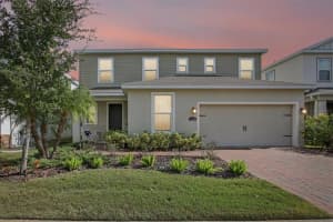 12326 BLUE PACIFIC DRIVE, RIVERVIEW, FL 33579 - MLS#MFRTB8451168