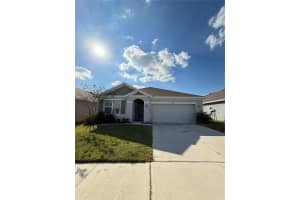 33318 Hamilton Hill Ln, WESLEY CHAPEL