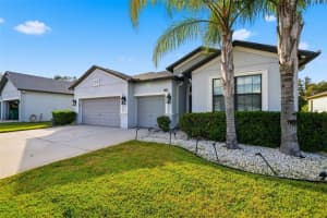 6611 PADEN WHEEL STREET, ZEPHYRHILLS, FL 33541 - MLS#MFRTB8451179