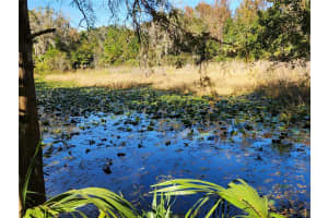 13022 SHAWNEE TRAIL, INVERNESS, FL 34450 - MLS#MFRTB8451203