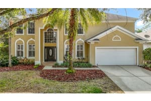 8708 Bay Laurel Ct, TAMPA 8708 Bay Laurel Ct, TAMPA