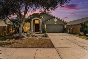 6418 CHAPEL PINES BOULEVARD, WESLEY CHAPEL, FL 33545 - MLS#MFRTB8451209