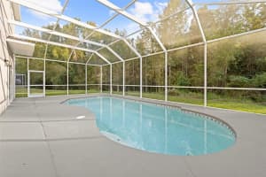 25131 GEDDY DRIVE, LAND O LAKES, FL 34639 - MLS#MFRTB8451217