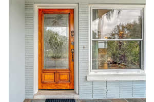 1133 BURKE AVENUE, DUNEDIN, FL 34698 - MLS#MFRTB8451251