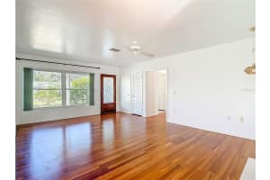 1133 BURKE AVENUE, DUNEDIN, FL 34698 - MLS#MFRTB8451251