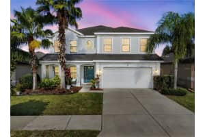 11214 Carrick Stone St, WIMAUMA 11214 Carrick Stone St, WIMAUMA