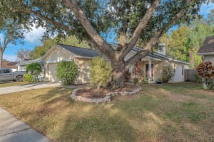 10838 PEPPERSONG DRIVE, RIVERVIEW, FL 33578 - MLS#MFRTB8451340