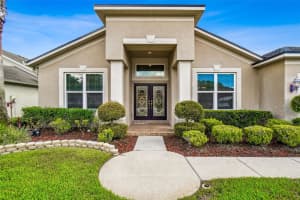 16106 RAMBLING ROAD, ODESSA, FL 33556 - MLS#MFRTB8451362
