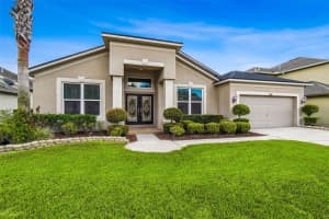 16106 RAMBLING ROAD, ODESSA, FL 33556 - MLS#MFRTB8451362