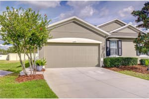 10497 HERON HIDEAWAY LOOP, LAND O LAKES, FL 34638 - MLS#MFRTB8451381