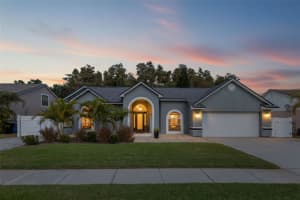 6505 Yellowhammer Ave, TAMPA 6505 Yellowhammer Ave, TAMPA