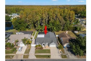 6505 YELLOWHAMMER AVENUE, TAMPA, FL 33625 Sold 01/09/26