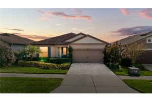 11631 DUBLIN GRAFTON, RIVERVIEW, FL 33579 - MLS#MFRTB8451410