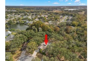 3734 THORNBUSH LANE, NEW PORT RICHEY, FL 34655 - MLS#MFRTB8451445