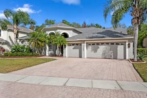 17384 Emerald Chase Dr, TAMPA