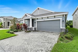 17714 EVERLONG DRIVE, LAND O LAKES, FL 34638 - MLS#MFRTB8451529