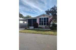 129 Woods-n-water Dr, MOUNT DORA