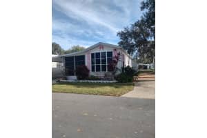 129 WOODS-N-WATER DRIVE, MOUNT DORA, FL 32757 - MLS#MFRTB8451531