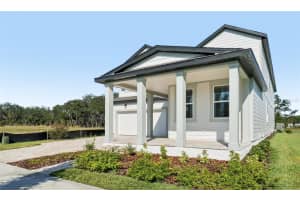 17401 HONEYBELL TANGELO COURT, WINTER GARDEN, FL 34787 - MLS#MFRTB8451532
