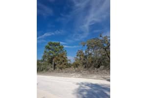 15176 GONZO ROAD, WEEKI WACHEE, FL 34614 - MLS#MFRTB8451600