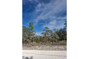 15176 GONZO ROAD, WEEKI WACHEE, FL 34614 - MLS#MFRTB8451600