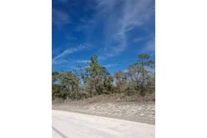 15176 GONZO ROAD, WEEKI WACHEE, FL 34614 - MLS#MFRTB8451600