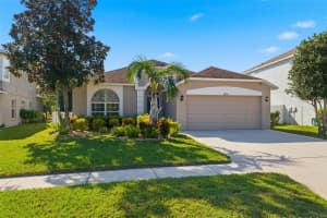 18930 NARIMORE DRIVE, LAND O LAKES, FL 34638 - MLS#MFRTB8451604