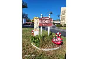 , ST PETERSBURG , ST PETERSBURG