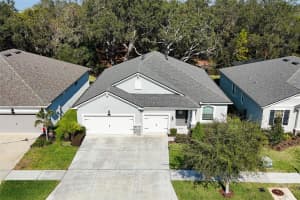 11404 BLUE WOODS DRIVE, RIVERVIEW, FL 33569 - MLS#MFRTB8451637