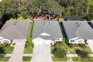11404 BLUE WOODS DRIVE, RIVERVIEW, FL 33569 - MLS#MFRTB8451637