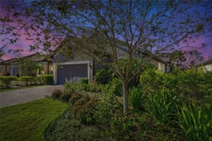 20112 SORANO HILL PLACE, TAMPA, FL 33647 - MLS#MFRTB8451707