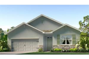 17619 Acorn Drop Rd, LAND O LAKES 17619 Acorn Drop Rd, LAND O LAKES