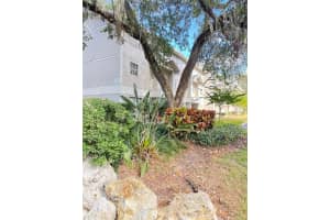 14412 Reuter Strasse Cir #213, TAMPA