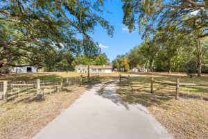 33237 CHANCEY ROAD, WESLEY CHAPEL, FL 33543 - MLS#MFRTB8451781