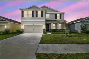 3827 SUNNY SPRING STREET, PLANT CITY, FL 33565 - MLS#MFRTB8451790