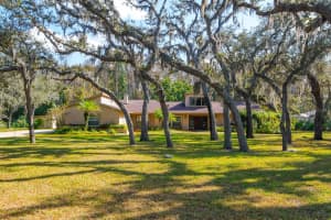 10206 LAKEVIEW DRIVE, NEW PORT RICHEY, FL 34654 - MLS#MFRTB8451797