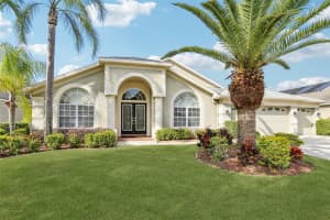9107 CYPRESS KEEP LANE, ODESSA, FL 33556 - MLS#MFRTB8451818
