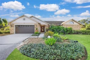 17302 PREAKNESS PLACE, ODESSA, FL 33556 - MLS#MFRTB8451826