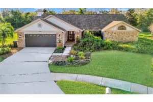 17302 PREAKNESS PLACE, ODESSA, FL 33556 - MLS#MFRTB8451826