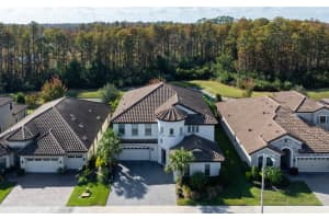 21878 PRISTINE LAKE BOULEVARD, LAND O LAKES, FL 34637 - MLS#MFRTB8451831
