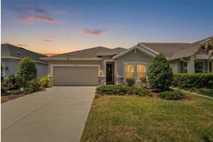 15180 RENAISSANCE AVENUE, ODESSA, FL 33556 - MLS#MFRTB8451864