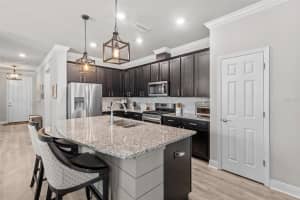 15180 RENAISSANCE AVENUE, ODESSA, FL 33556 - MLS#MFRTB8451864